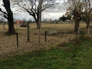 Foto 17 de venta  Permuta casa campo caballerizas