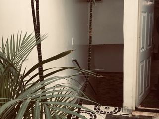 Foto 6 de SE VENDE CASA  RENTABLE  EN BOSA NUEVA ESCOCIA - BOGOTA