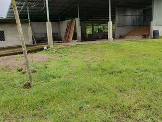 Foto 5 de 310 hectareas vendo