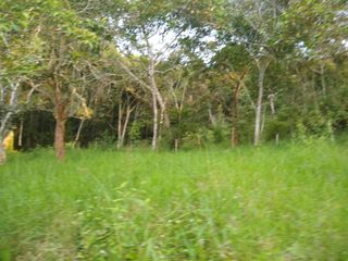 Foto 5 de lote en venta en bitaco. Cod V4083