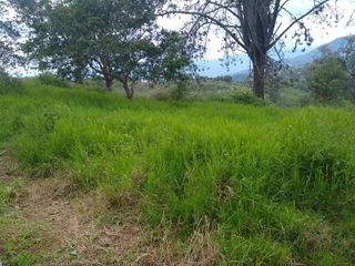 Foto 2 de lote en venta en bitaco. Cod V4083