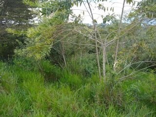 Foto 4 de lote en venta en bitaco. Cod V4083