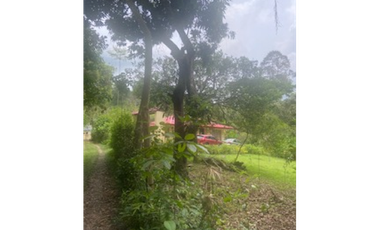 place photo 73
