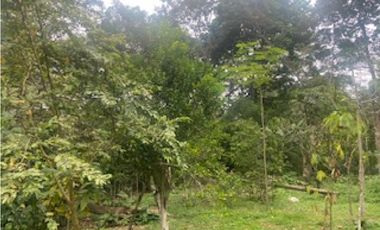 place photo 68