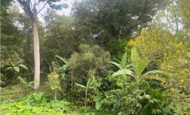 place photo 61