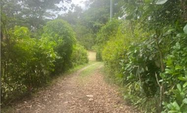 place photo 65