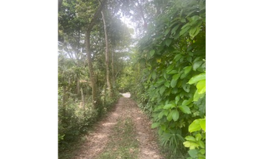 place photo 55