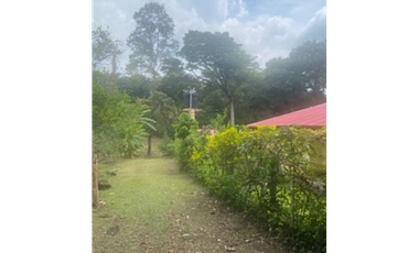 place photo 51
