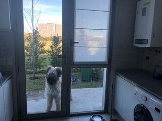 Foto 14 de Excelente casa moderna en Albanueva, como nueva, gran calidad, pileta, amarra frente al rio
