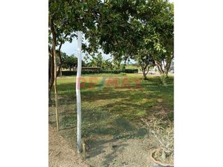 Terreno en Venta en Pimentel - Ansicht 5