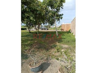 Terreno en Venta en Pimentel - Ansicht 6