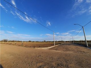 Foto 11 de VENTA-LOTES-SINSACATE-LOS ALGARROBOS