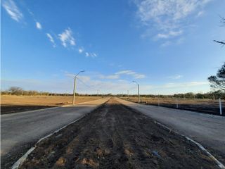 Foto 1 de VENTA-LOTES-SINSACATE-LOS ALGARROBOS
