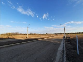 Foto 10 de VENTA-LOTES-SINSACATE-LOS ALGARROBOS
