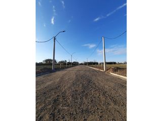 Foto 6 de VENTA-LOTES-SINSACATE-LOS ALGARROBOS