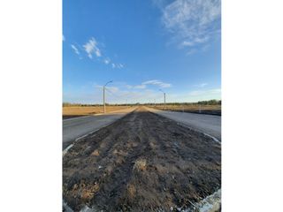 Foto 8 de VENTA-LOTES-SINSACATE-LOS ALGARROBOS