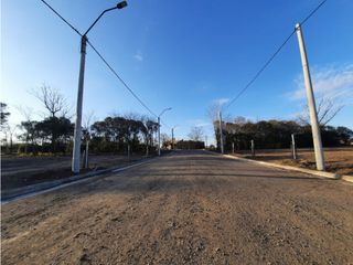Foto 13 de VENTA-LOTES-SINSACATE-LOS ALGARROBOS