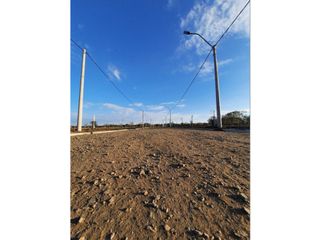 Foto 12 de VENTA-LOTES-SINSACATE-LOS ALGARROBOS