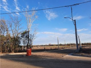 Foto 14 de VENTA-LOTES-SINSACATE-LOS ALGARROBOS