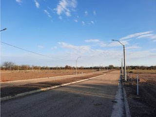Foto 2 de VENTA-LOTES-SINSACATE-LOS ALGARROBOS