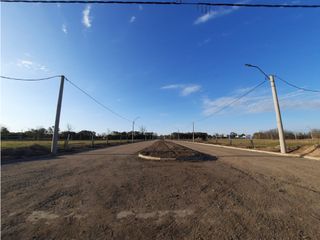 Foto 4 de VENTA-LOTES-SINSACATE-LOS ALGARROBOS