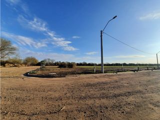 Foto 5 de VENTA-LOTES-SINSACATE-LOS ALGARROBOS