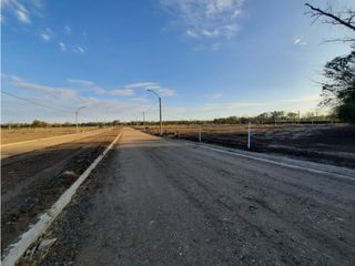 Foto 9 de VENTA-LOTES-SINSACATE-LOS ALGARROBOS