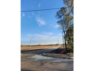 Foto 15 de VENTA-LOTES-SINSACATE-LOS ALGARROBOS