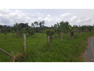 Venta Espectacular Lote apto para PROYECTO Hotelero Quindío