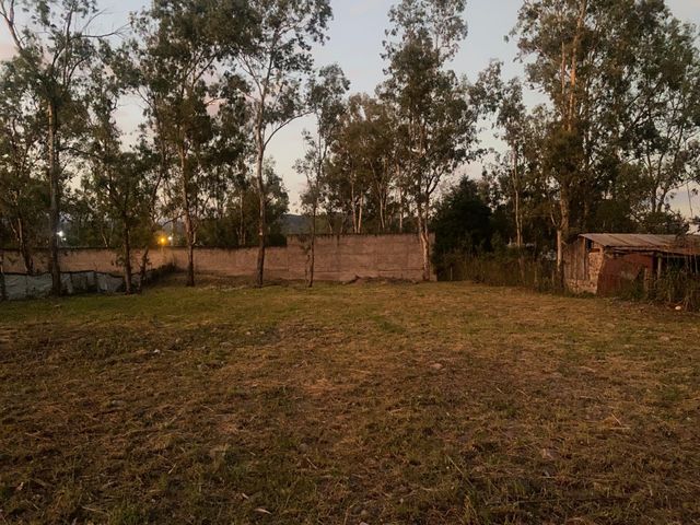 TERRENO EN VENTA EN EL ENCON