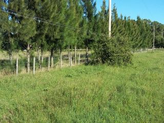 Foto 2 de CHACRA en Venta en Punta Indio 2,8 hectáreas