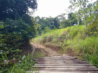 Foto 3 de Terrenos Rusticos Venta Sector Alto Shiringal, Irazola, Padre Abad - PUCALLPA