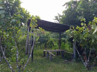 Foto 16 de Terrenos Rusticos Venta Sector Alto Shiringal, Irazola, Padre Abad - PUCALLPA