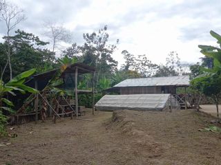 Foto 13 de Terrenos Rusticos Venta Sector Alto Shiringal, Irazola, Padre Abad - PUCALLPA