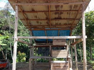 Foto 10 de Terrenos Rusticos Venta Sector Alto Shiringal, Irazola, Padre Abad - PUCALLPA