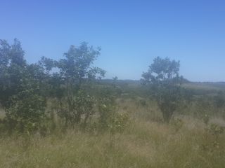 Foto 5 de VENDO CAMPO EN APÓSTOLES MISIONES