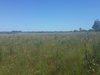 Foto 3 de VENDO CAMPO EN APÓSTOLES MISIONES