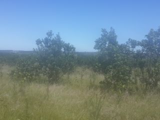 Foto 4 de VENDO CAMPO EN APÓSTOLES MISIONES