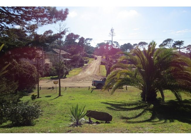 place photo 27