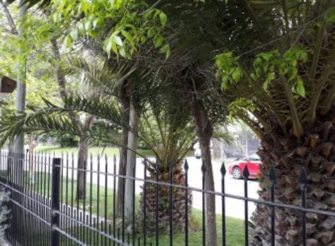 place photo 19