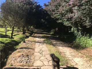 Foto 31 de Venta De Finca En Subachoque. Cundinamarca