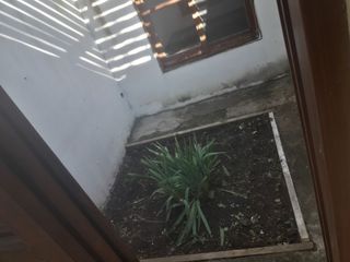 Foto 10 de VENTA DE CASA EN El Volcán