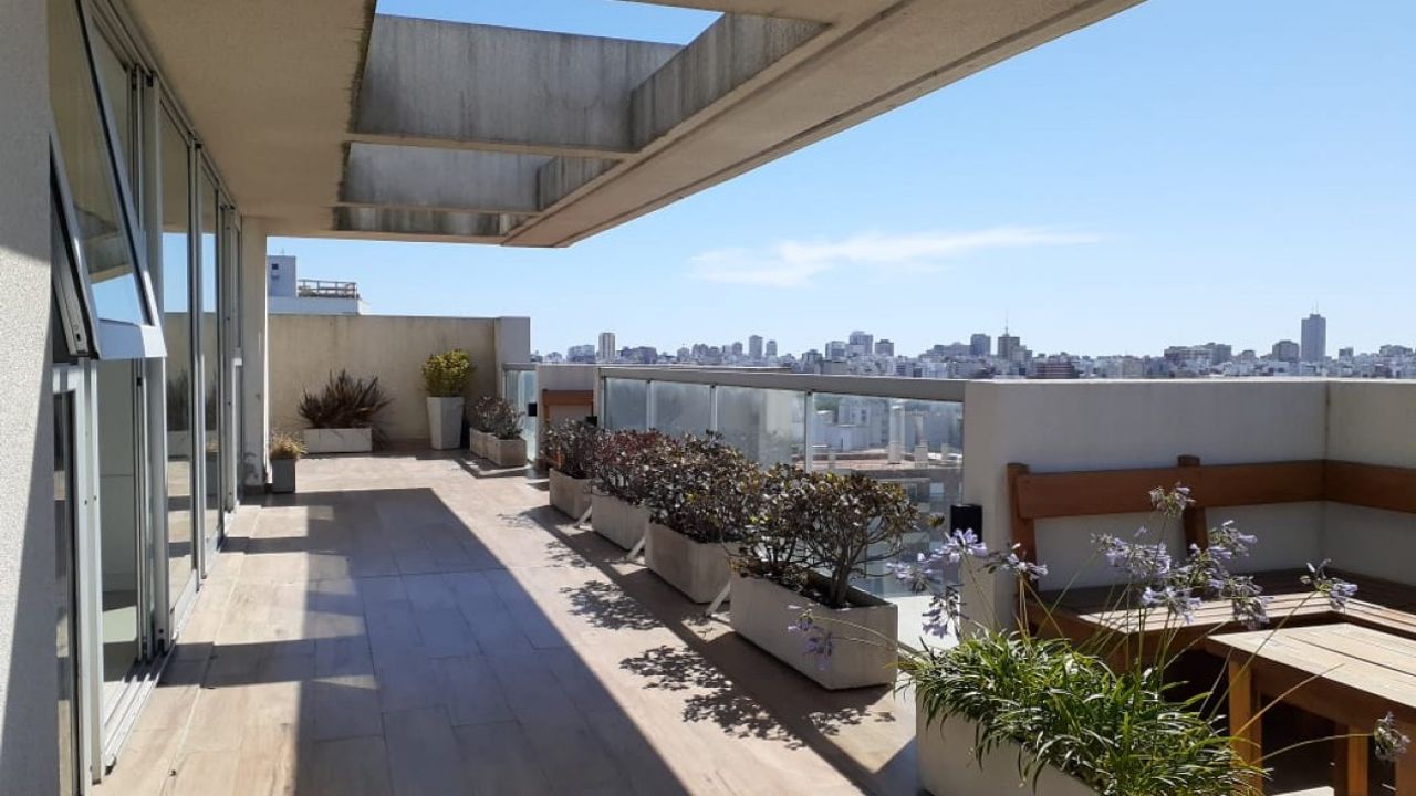 place photo 22