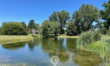 place photo 43