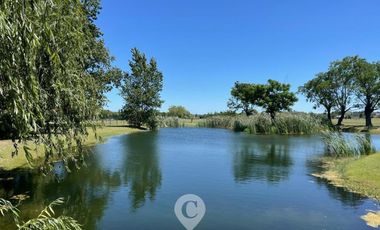 place photo 41