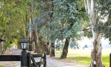place photo 34