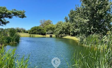 place photo 40