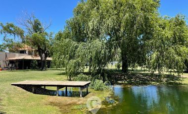 place photo 42