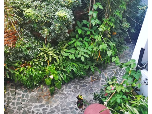 Casa unifamiliar en Venta Laureles Medellin