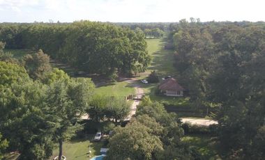 place photo 39